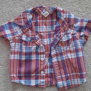 Button down, plaid, collared shirt.